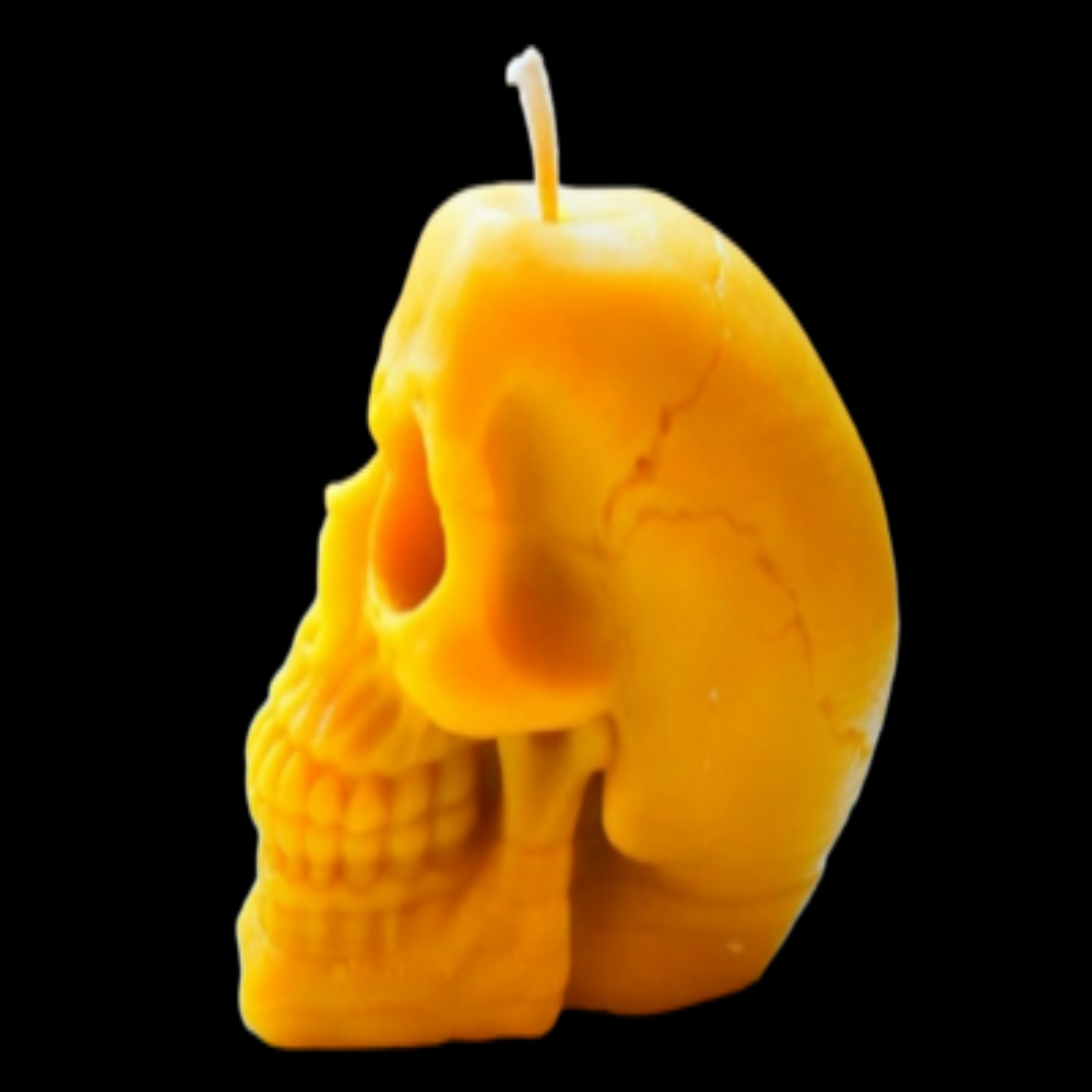 Large Beeswax Skull Candle