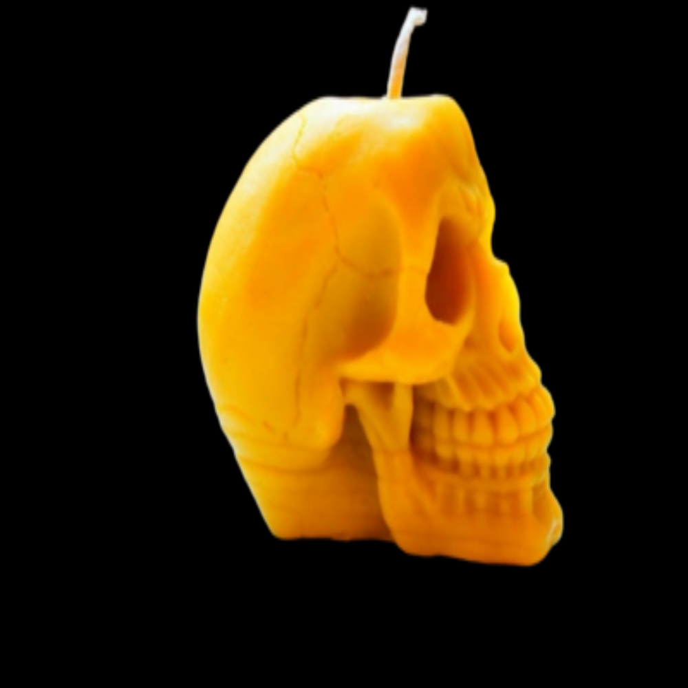 Large Beeswax Skull Candle