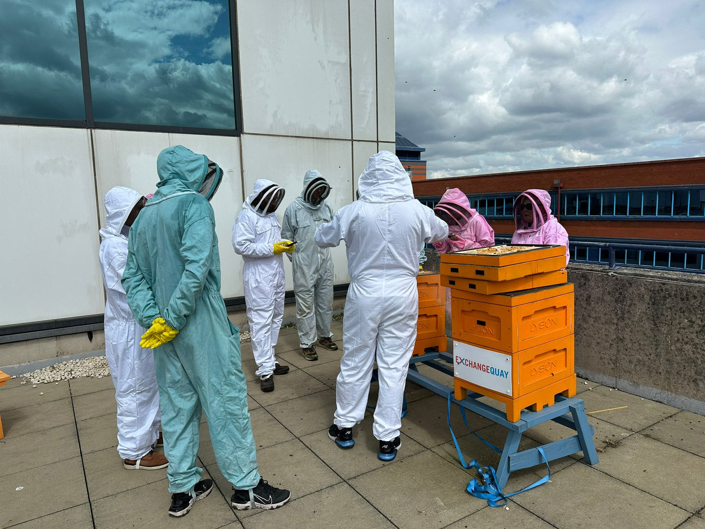 Beekeeping Experience Sheffield - Full Day
