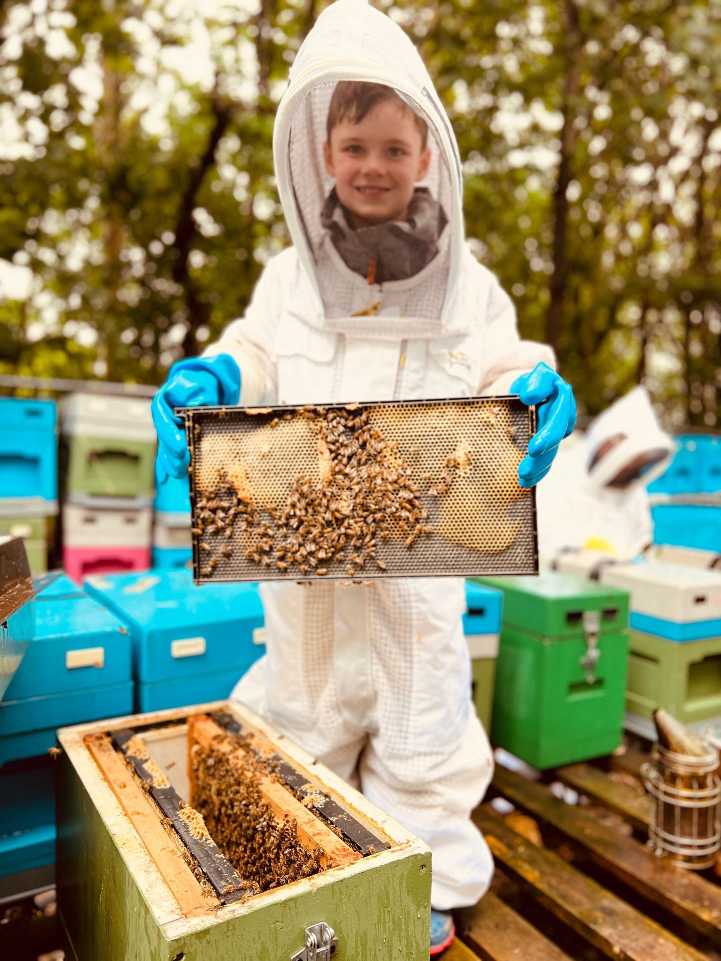 Beekeeping Experience Sheffield - Half Day