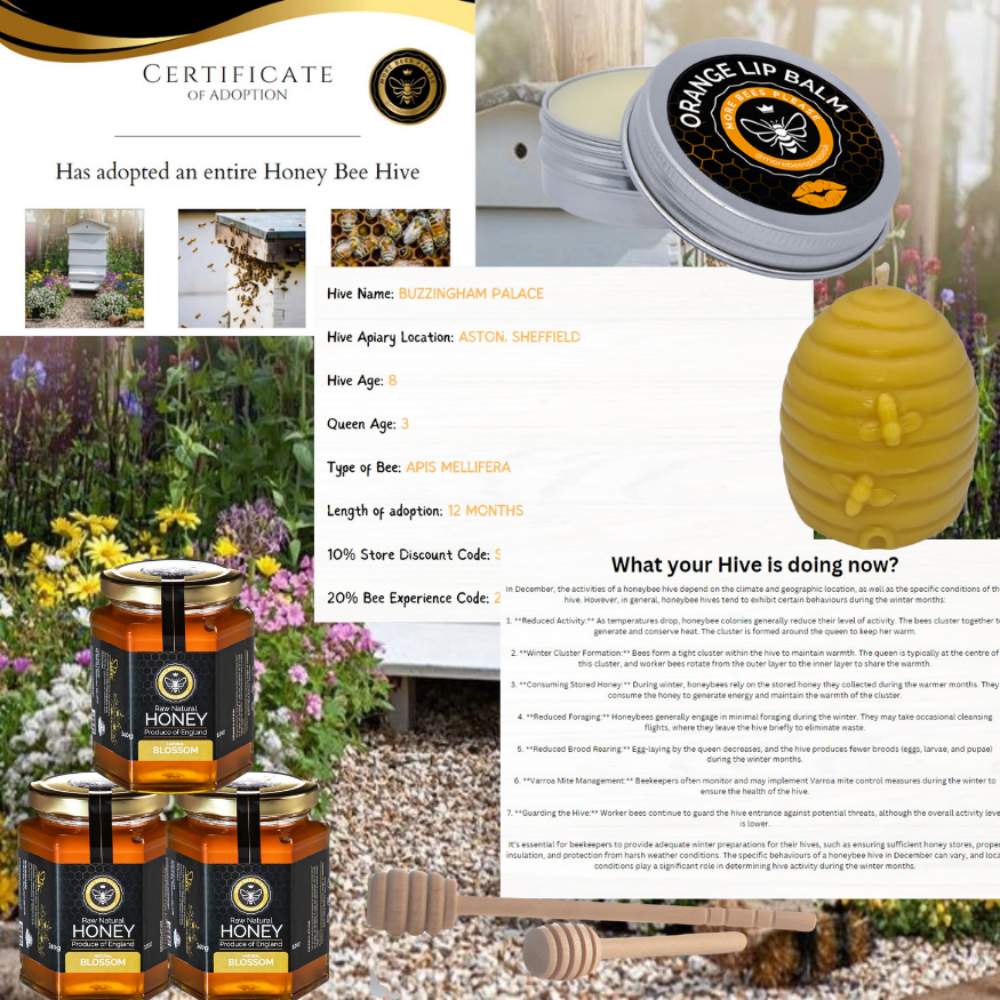 Adopt a Hive - Nurturing the Buzz of Nature's Guardians