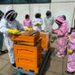 Beekeeping Experience Sheffield - Half Day