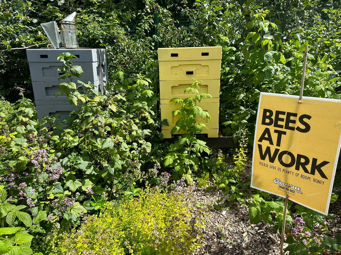 Beekeeping Experience Sheffield - Full Day