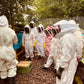 Beekeeping Experience Sheffield - Half Day