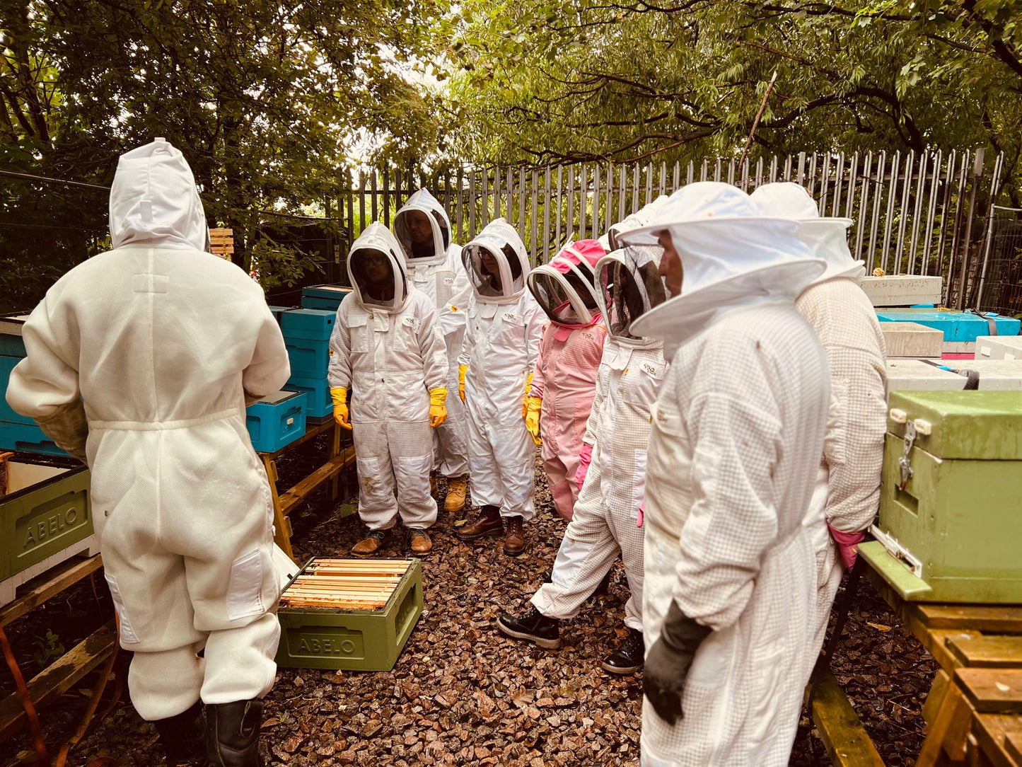 Beekeeping Experience Sheffield - Half Day