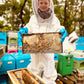 Beekeeping Experience Sheffield - Half Day