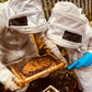 Beekeeping Experience Sheffield - Half Day