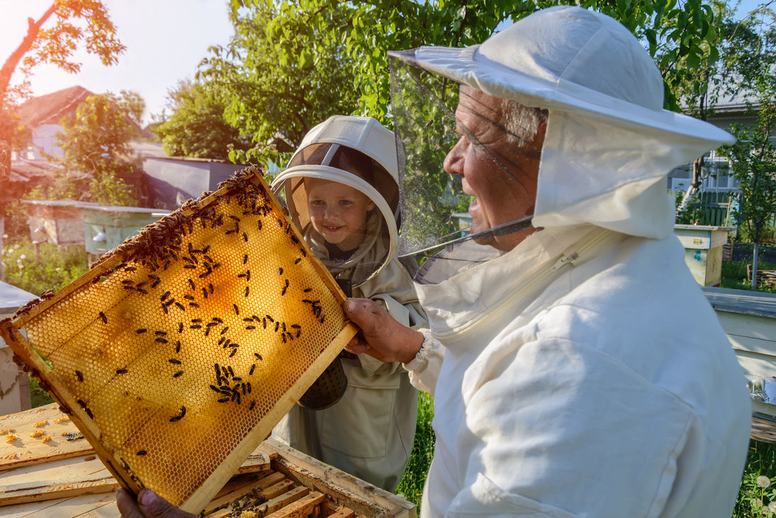 Beekeeping Experience More Bees Please Shop