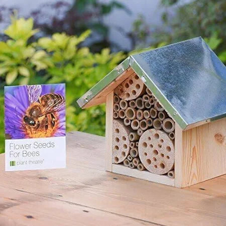 Bee Hotel