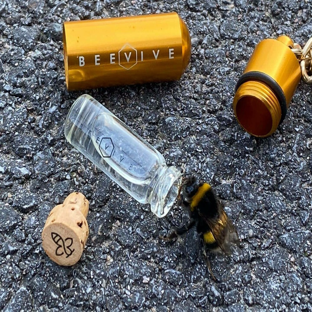 The Original Bee Revival Kit