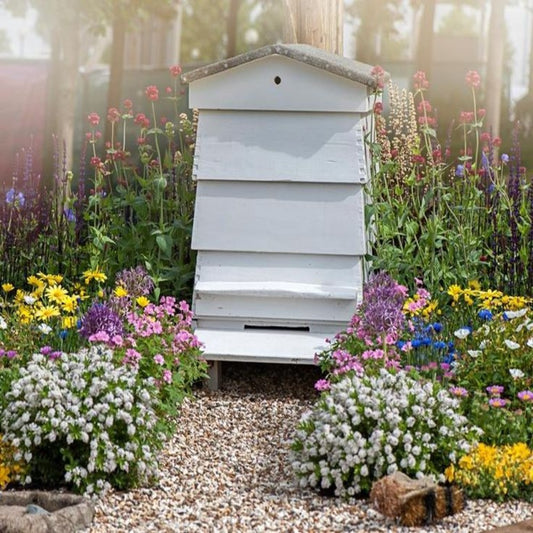 Adopt a Hive - Nurturing the Buzz of Nature's Guardians