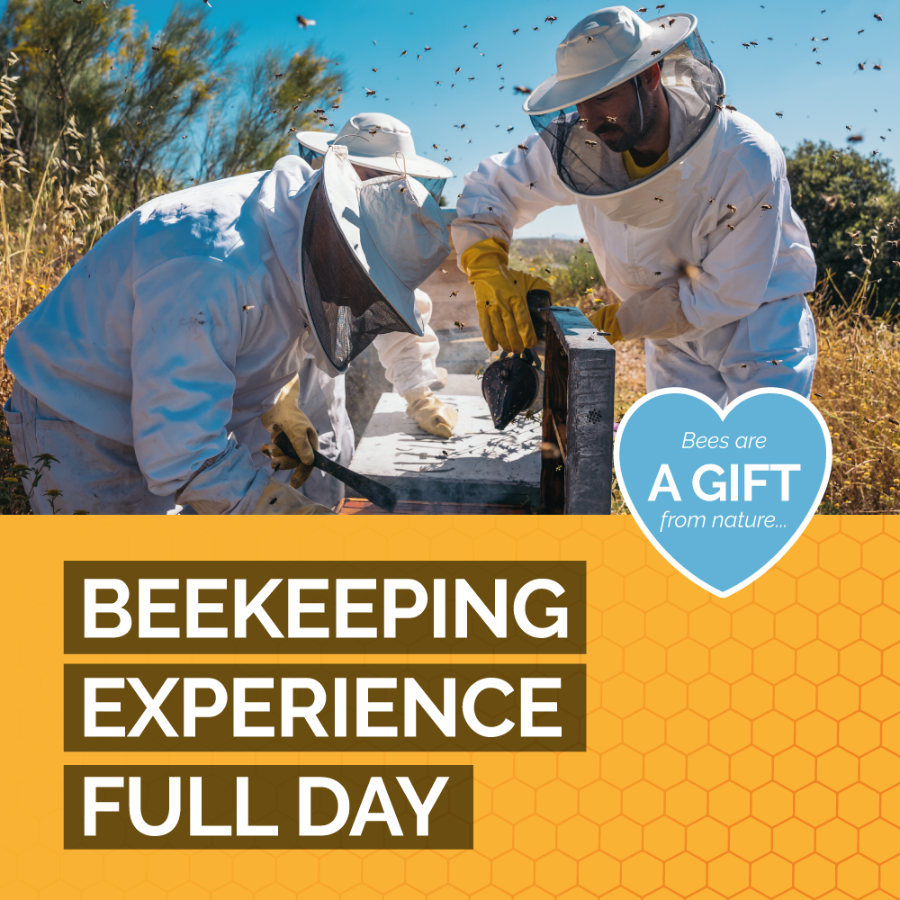 Beekeeping Experience Sheffield - Full Day