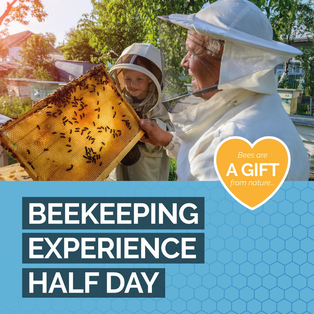 Beekeeping Experience Sheffield - Half Day